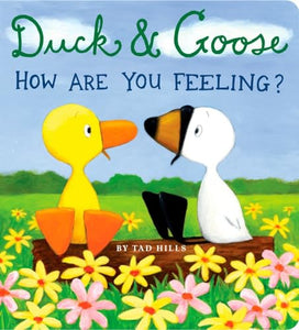 Duck & Goose, How Are You Feeling? 