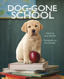 Dog-Gone School 