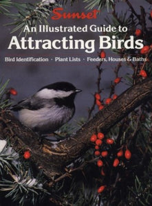 Illustrated Guide to Attracting Birds 