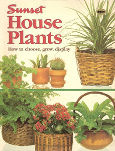 House Plants 