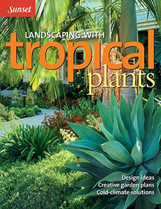 Sunset Landscaping with Tropical Plants 