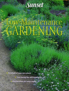 Low Maintenance Gardening 