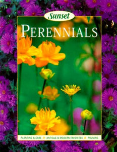 Perennials 