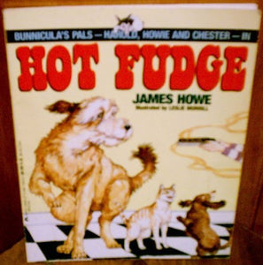 Hot Fudge 