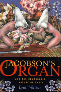 Jacobson's Organ 