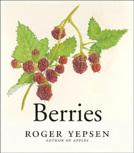 Berries 