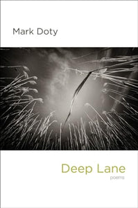 Deep Lane 