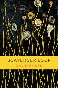 Scavenger Loop 