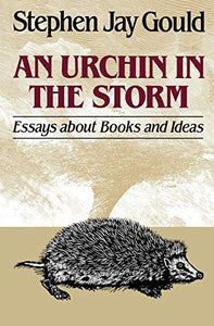 An Urchin in the Storm 