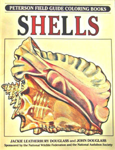 Field Guide to Shells 