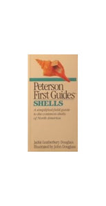 First Guide to Shells 