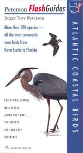 Atlantic Coastal Birds 