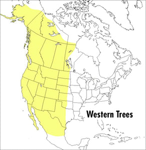 Peterson Field Guide To Western Trees, A 