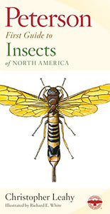 Peterson First Guide To Insects Of North America 