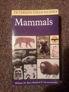 Field Guide to Mammals 