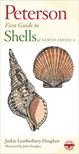 Peterson First Guide To Shells Of North America 