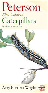 Peterson First Guide to Caterpillars of North America 