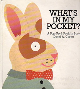 What's in My Pocket? 