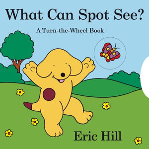 What Can Spot See? 