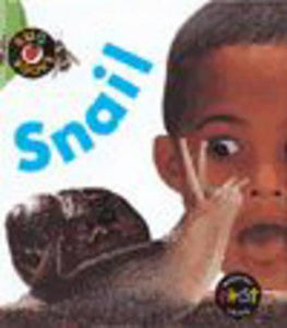 Bug Books: Snail 