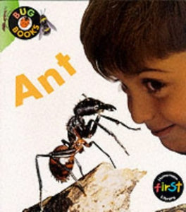 Bug Books: Ant Paperback 