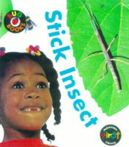 Bug Books: Stick Insect 