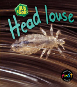 Head Louse 