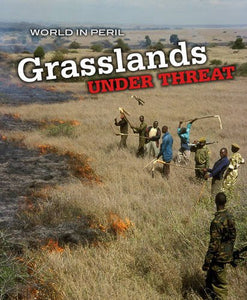 Grasslands Under Threat 