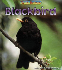 Wild Britain: Blackbird Paperback 