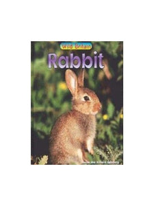 Wild Britain: Rabbit 