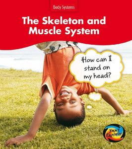 The Skeleton and Muscle System 