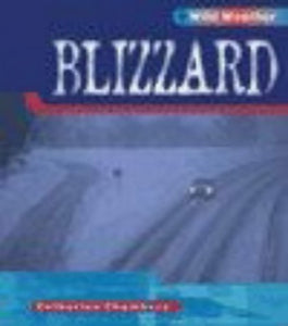 Wild Weather: Blizzard Paperback 