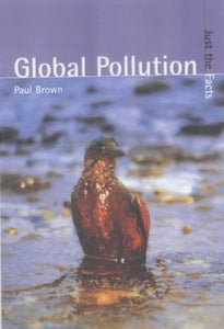 Just the Facts: Global Pollution Paperback 