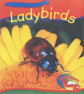 Little Nippers: Creepy Creatures Ladybirds Paperback 