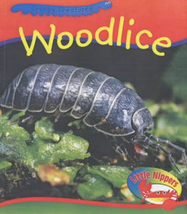 Little Nippers: Creepy Creatures Woodlice Paperback 