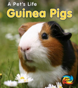 Guinea Pigs 