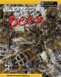 Animal Groups: Life in a Colony of Bees 