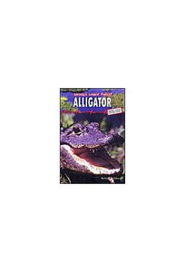 Animals Under Threat: Alligator 