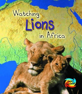 Watching Lions in Africa 