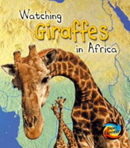 Giraffes in Africa 