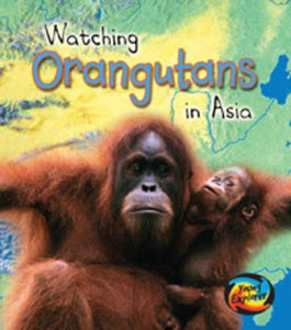 Orangutans in Asia 