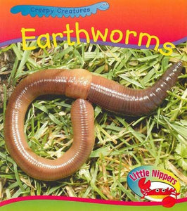 Worm 