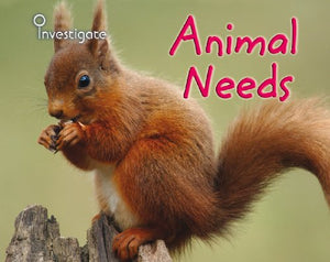 Animal Needs 