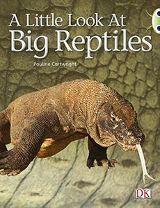 Bug Club Guided Non Fiction Year 1 Blue B A Little Look at Big Reptiles 