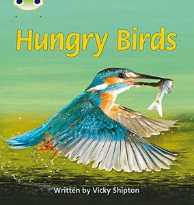 Bug Club Phonics - Phase 5 Unit 23: Hungry Birds 