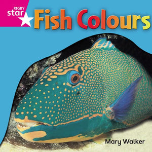 Rigby Star Independent Reception Pink Level Non Fiction Fish Colours Single 