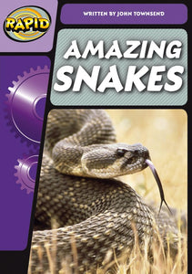 Rapid Phonics Step 3: Super Snakes (Non-fiction) 