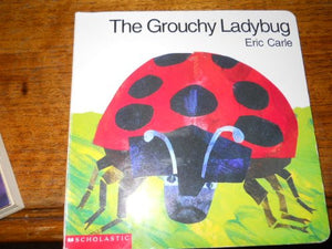 Grouchy Ladybug 