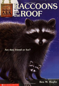 Raccoons on the Roof 