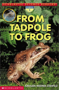 From Tadpole to Frog 